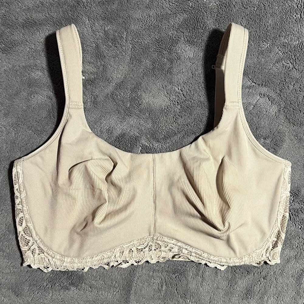 Paramour underwire bra // 36G
